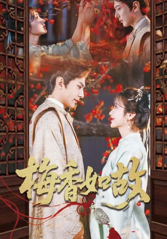 《梅香如故》：穿越时空的爱恋，古韵与现代情感的奇妙交织。